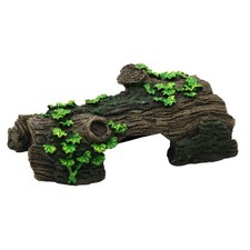 Snake Toads Frogs Turtles House Turtles Ramp Basking Platform Aquariums Turtles