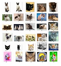 30 Personalized Return Address Labels Cats  ca1 