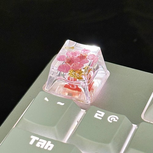 1Pcs Transparent Dry Flowers Keycap Cross Axis Mechanical Keyboard Key Caps - Photo 8/13