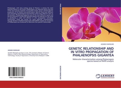 GENETIC RELATIONSHIP AND IN VITRO PROPAGATION OF PHALAENOPSIS GIGANTEA Azadeh Ni