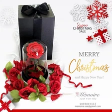 Forever Preserved Rose - Beauty and The Beast Rose