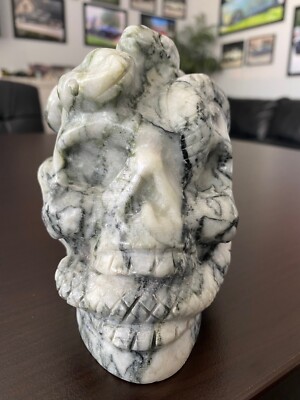 US SELLER XL Hand Crvd NETWORK JASPER SNAKE Crystal Skull 5.375X4.875X4-4LB-7OZ