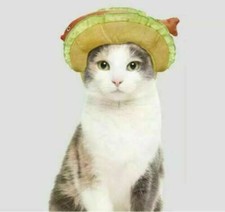NEW HYDE  SEEK DOG  CAT COSTUME FISH TACO HEAD PIECE SIZE SMALL 25LBS OR LESS