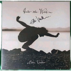 LP Into the Wild | eBay