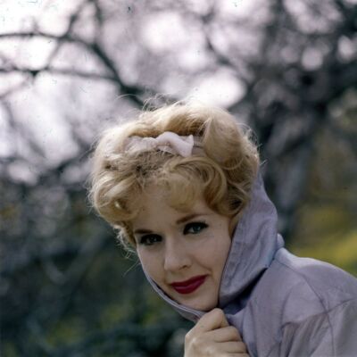 Lot of (3) 1960s CONNIE STEVENS Original Photo Transparency