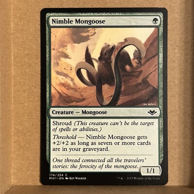 B3G3 ~ MTG ~ Nimble Mongoose ~ MH1 Modern Horizons ~ #174 ~ English ~ NM