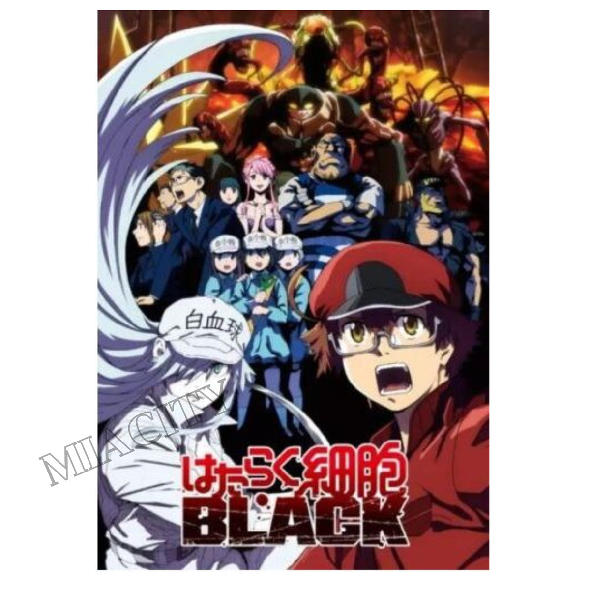 DVD Anime Hataraku Saibou /Cells at Work Complete Series (1-13) English  Subtitle