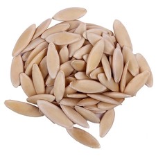 Kheera Beej Cucumis Sativus Cucumber Seeds Beej Khira Kheera Seeds