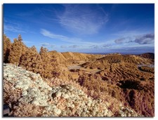 Converted Full Spectrum Infrared IR Panasonic G2  Camera 134