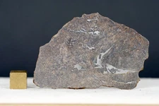 NWA 13917 Meteorite – Winonaite Primitive Achondrite – 12.205g Full Slice #S16