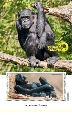 Western Chimpanzee Fauna of Guinea MNH Stamps 2023 Guinea S/S | eBay