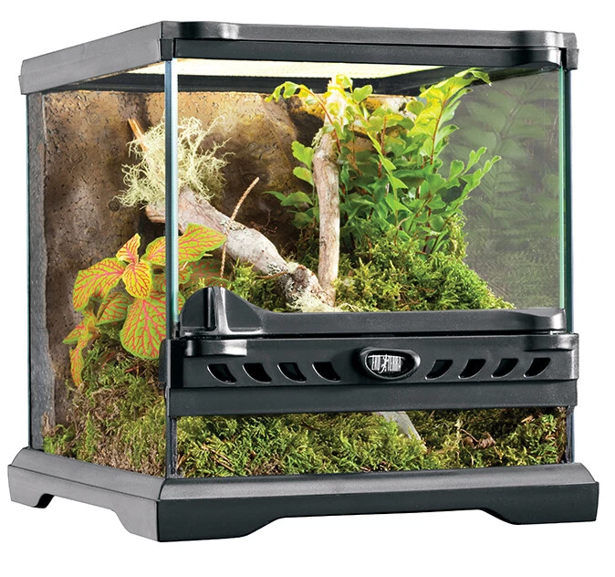 Exo Terra Terrarium aus Glas - Glasterrarium - Grösse: 20 x 20 x 20 cm - Bild 1 von 1