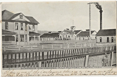 Borden's Condensed Milk Factory Auburn WA Black and White Photo Postcard 1907