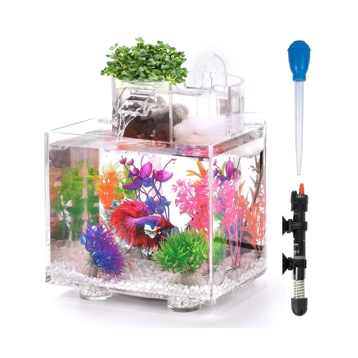 Betta fish cheap tank ebay