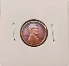 ---1909-S VDB Lincoln Wheat Penny Rare Sought As shown in the figure