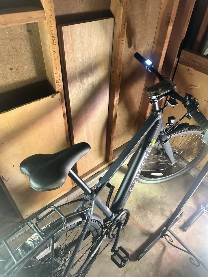 Bicicleta eléctrica Concord E-bike Foto 3 de 4