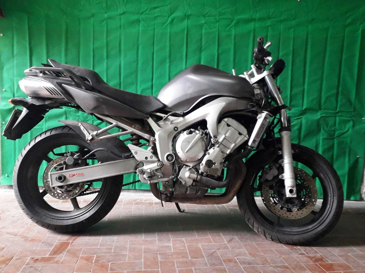 Fz6 s1 online