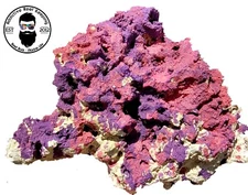 ARK Coralline Reef Rock Dry Aragonite Porous  PICK SIZE AND WEIGHT