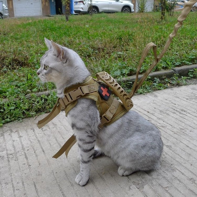 cat chest harness
