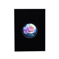 Blooming Rose (Small Round) Hologram Picture MATTED, 3D Embossed Type
