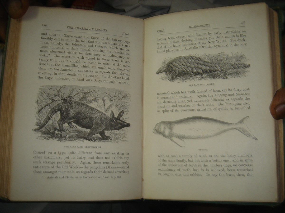 THE GENESIS OF SPECIES BY ST. GEORGE MIVART 1871 - ILLUSTRATED