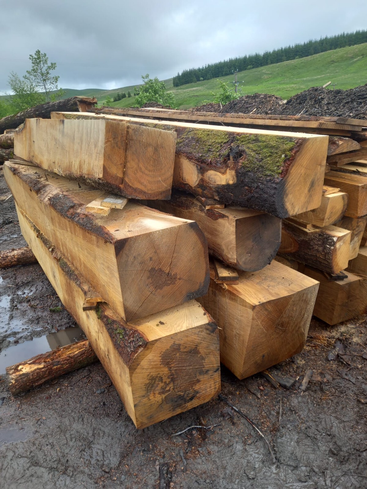 green oak beam structural