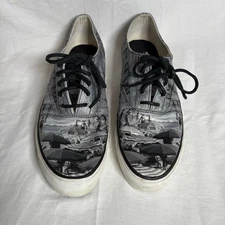 Sperry Shoes Men’s Size 10.5 Beach Scene Limited Edition Sneakers Gray Canvas