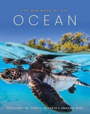 The Big Book of the Ocean by Sona Books HARDBACK 9781912918782