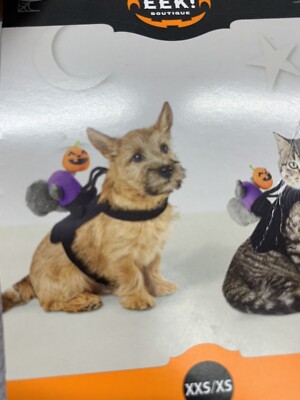 Hyde & EEK! Boutique Headless Horseman Squirrel Rider Dog & Cat Costume - XXS/XS