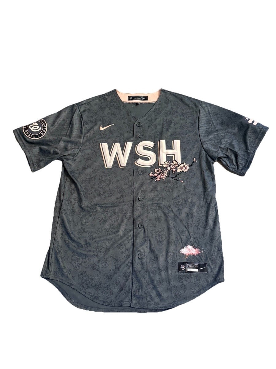 Nike Washington Nationals City Connect Cherry Blossom Jersey Men's