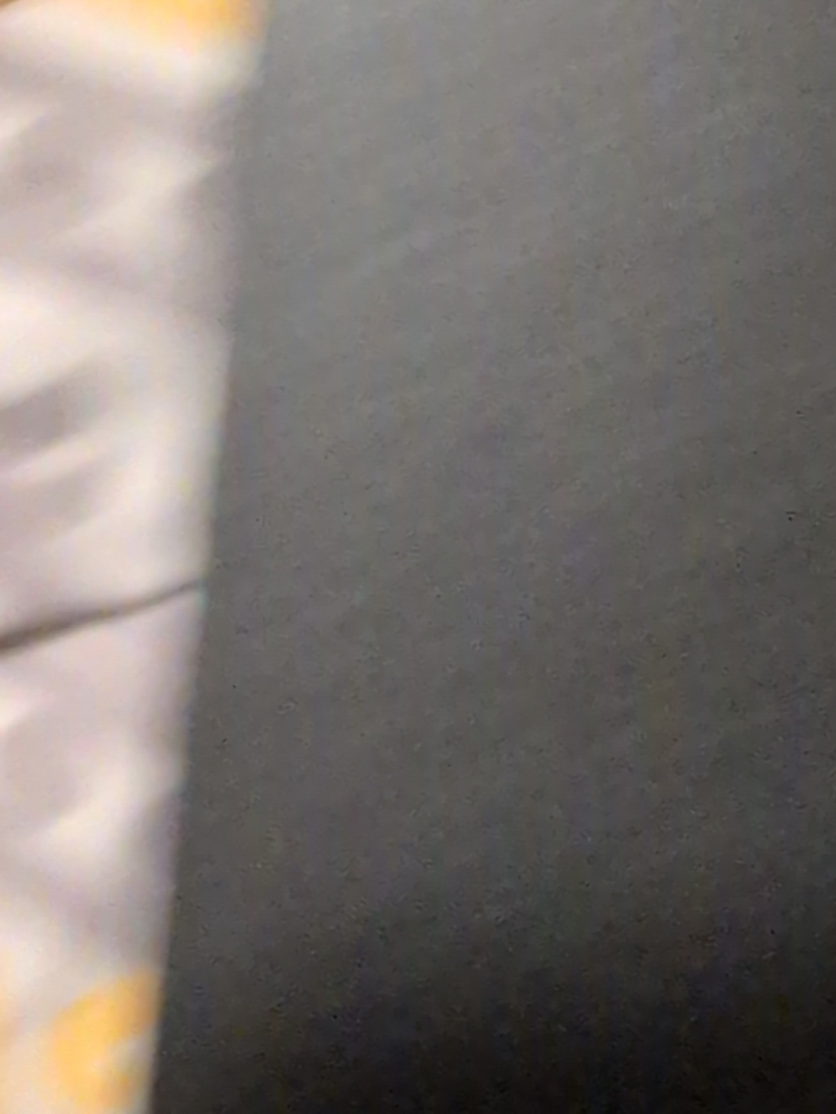 Picture 8 of 15