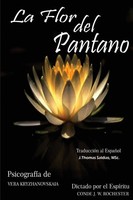La Flor Del Pantano Vera Kryzhanovskaia (U. A.) Taschenbuch Spanisch 2023