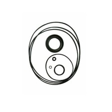 Seal Kit 60580-000 For Eaton Char Lynn J-2 Series Hydraulic Motor 129 J Series