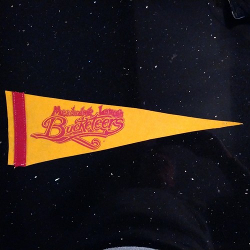 Meadowlark Lemon's Bucketeers pennant Harlem Globetrotters 17x6