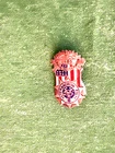 Antique 1880' lapel Post System Sons of Veterans Gold and ENAMEL