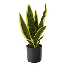 Nearly Natural 14" Sansevieria Artificial Plant in Green