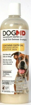 dogmd flea shampoo