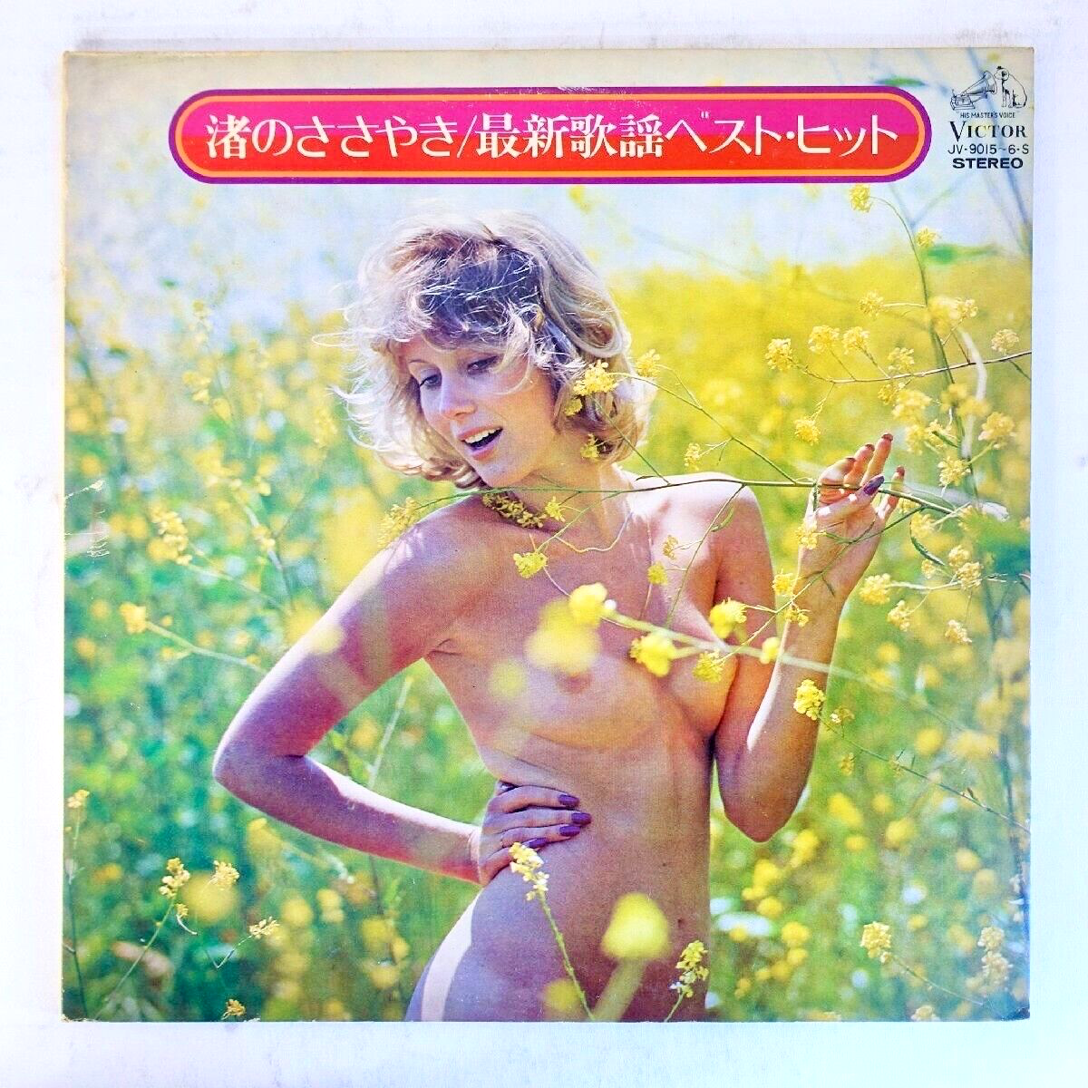 Vintage vinyl album cover cheesecake art