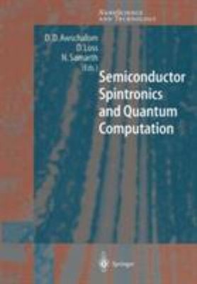 Semiconductor Spintronics and Quantum Computation Hardcover