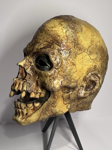 Vintage Halloween Mask Skull Head 2005 Bump In The Night - Some Damage/wear