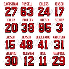 Team Denmark 2026 Olympic Ice Hockey STICKER DECAL Bjorkstrand Ehlers Andersen