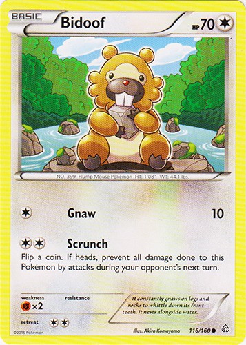 Bidoof - 116/160 - Common - Near Mint - Primal Clash
