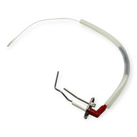 Sime 6221670B ZÜNdelektrode Erkennung Ex 6221670 FÜR Kessel One He