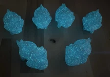 3D Glow In The Dark Dinosaurs 