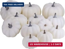 BESTTOYHOME 12 PCS Assorted Sizes Rustic Harvest White Artificial Pumpkins for H