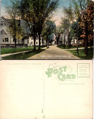 Maine ME Park Street Tree Lined View South Paris Postcard