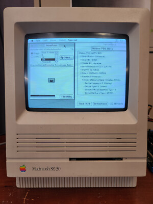 30Video Grayscale for Apple Macintosh SE/30 (similar to Micron