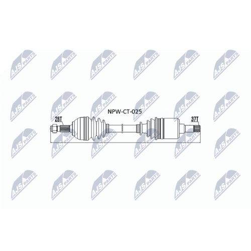 Compre Amortiguadores De Maletero De NTY Para CITROËN Online