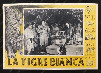 1938 Movie BOOLOO / THE WHITE TIGER Director Clyde E. Elliot Poster 1/12