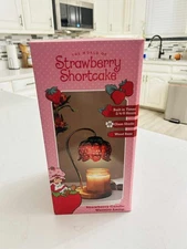Strawberry Shortcake Candle Warmer Lamp Glass Shade Wood Base With Timer Viral